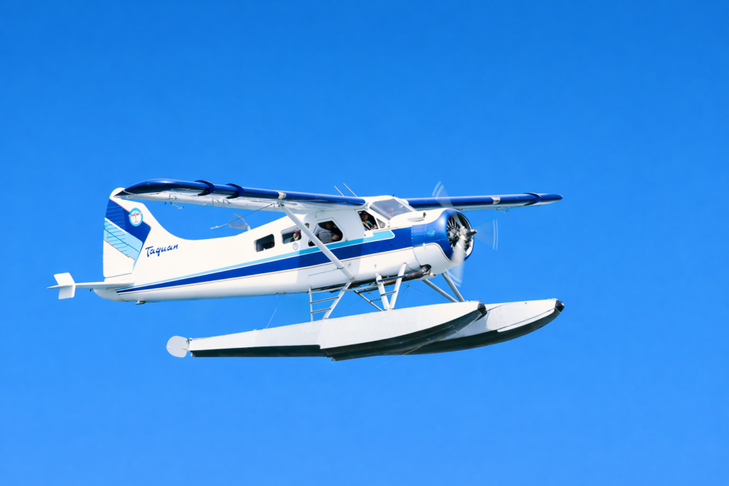 de Havilland Beaver for charter
