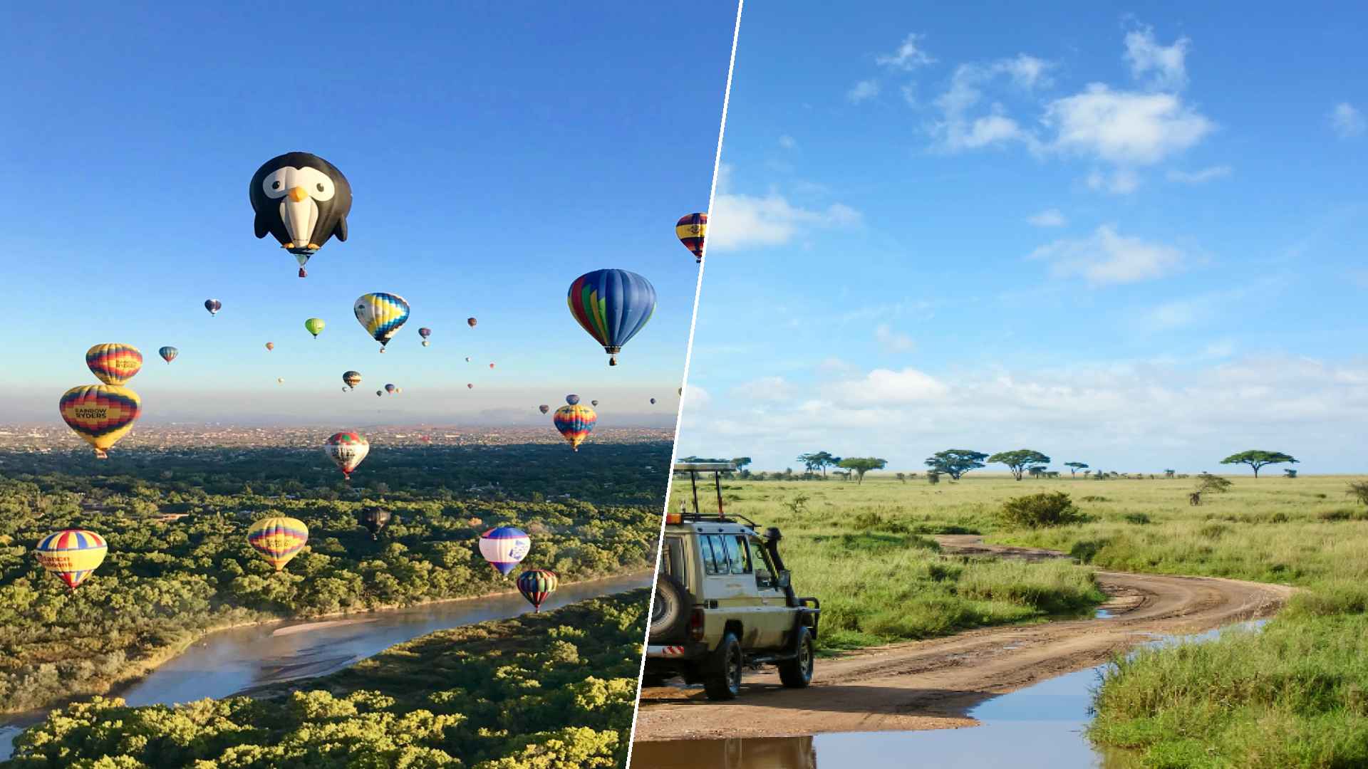 Albuquerque to Serengeti