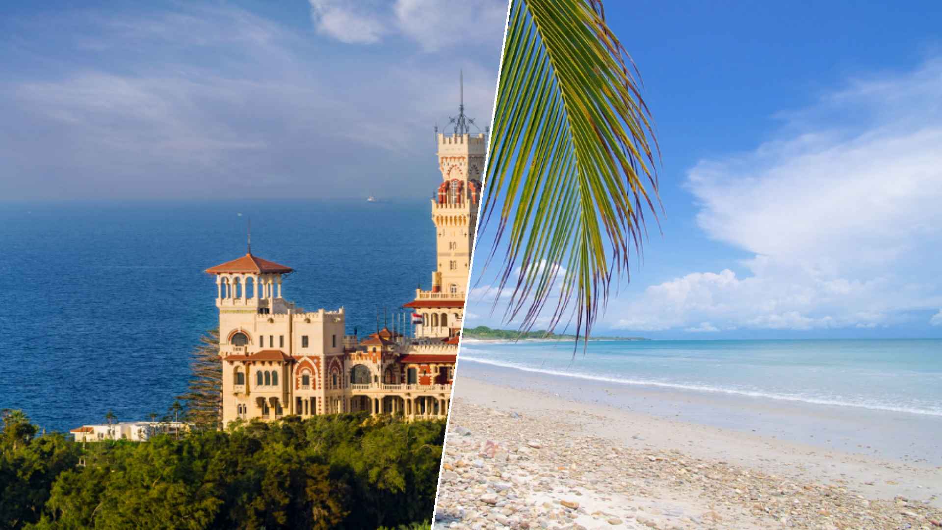 Alexandria to Punta Mita