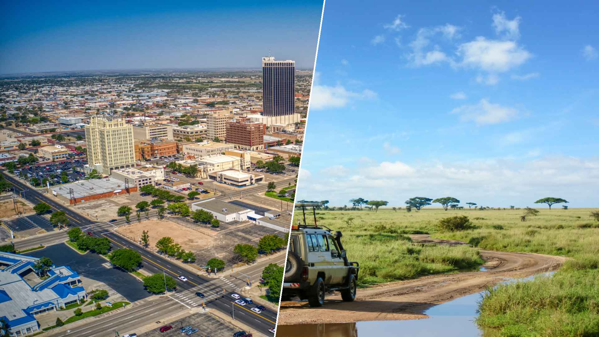 Amarillo to Serengeti