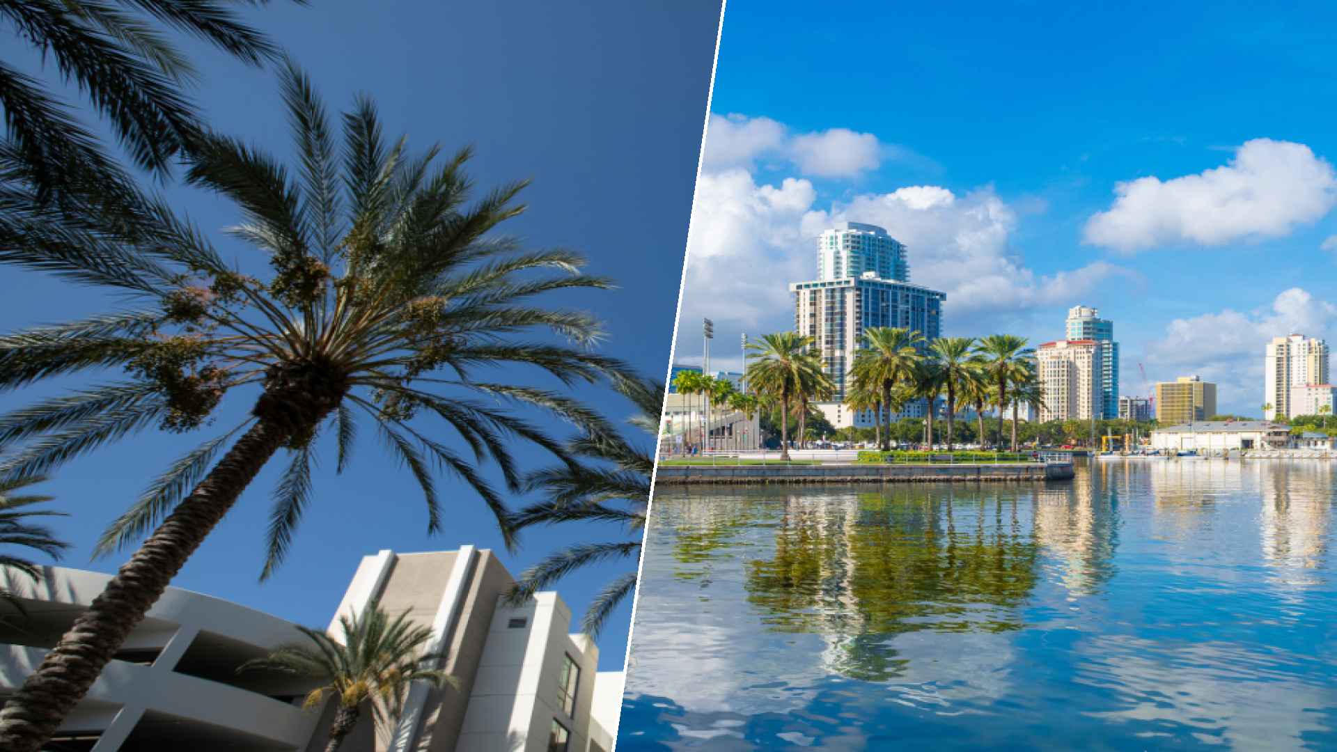 Anaheim to St. Petersburg