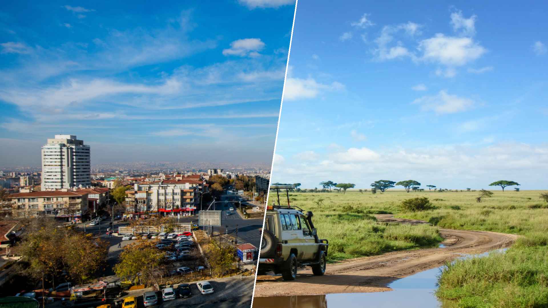 Ankara to Serengeti