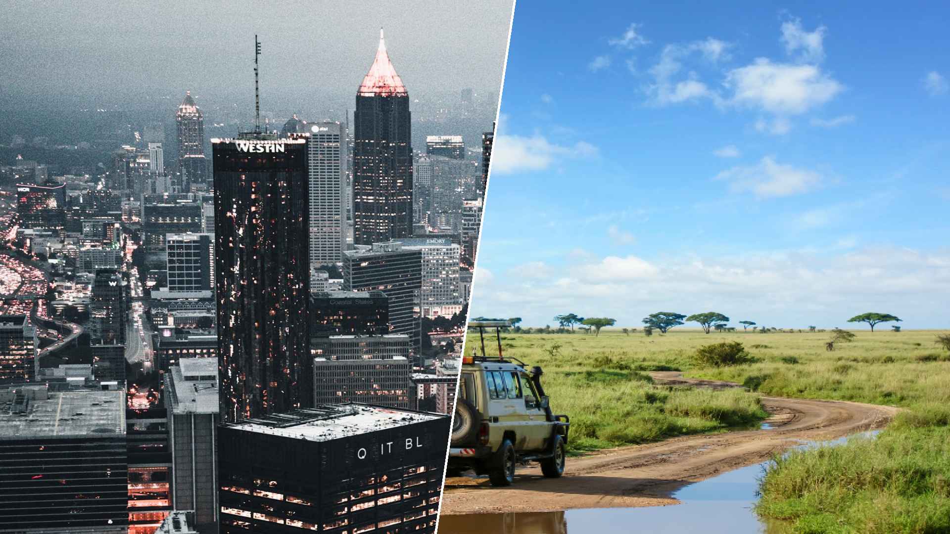 Atlanta to Serengeti