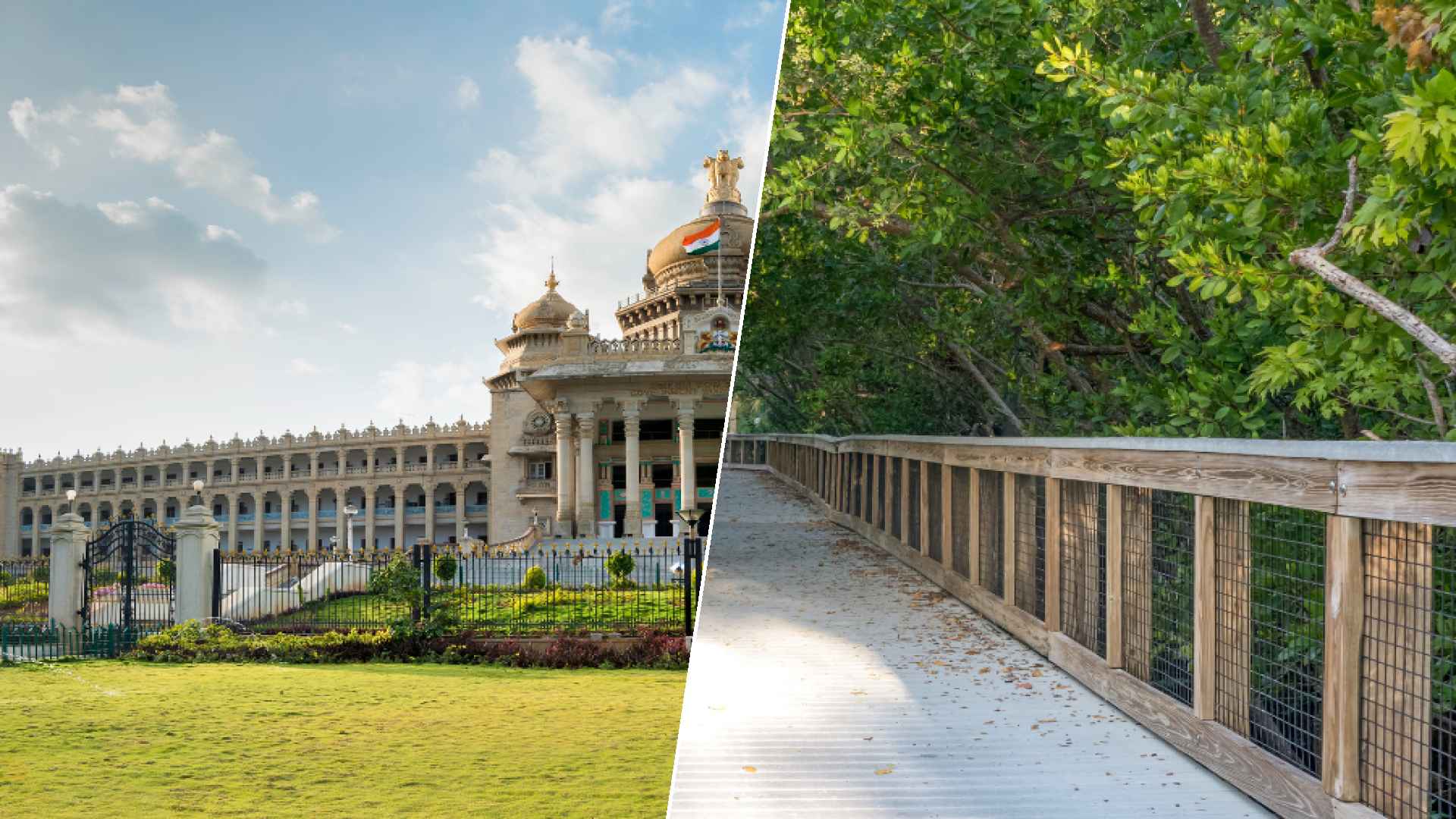 Bangalore to Port St. Lucie