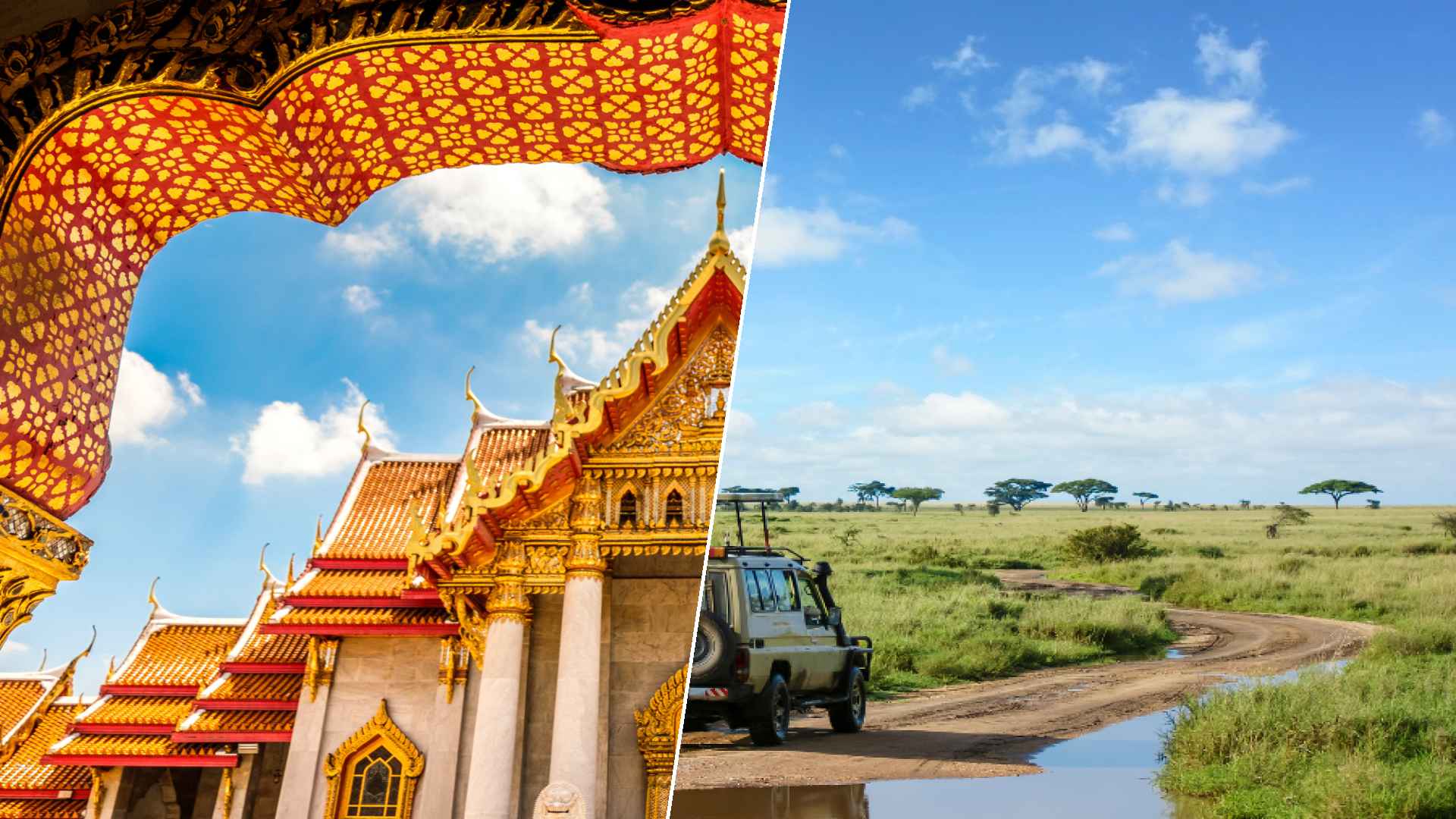 Bangkok to Serengeti