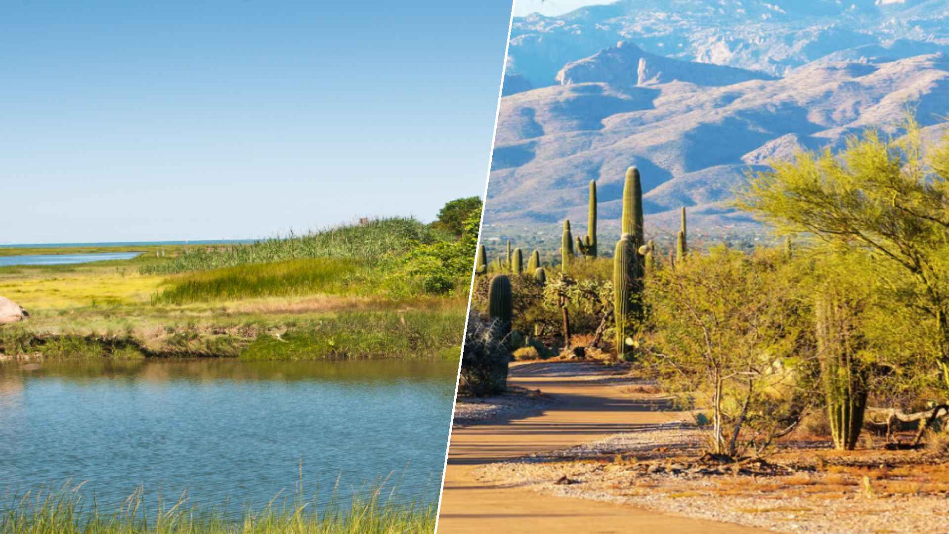 Barnstable to Glendale