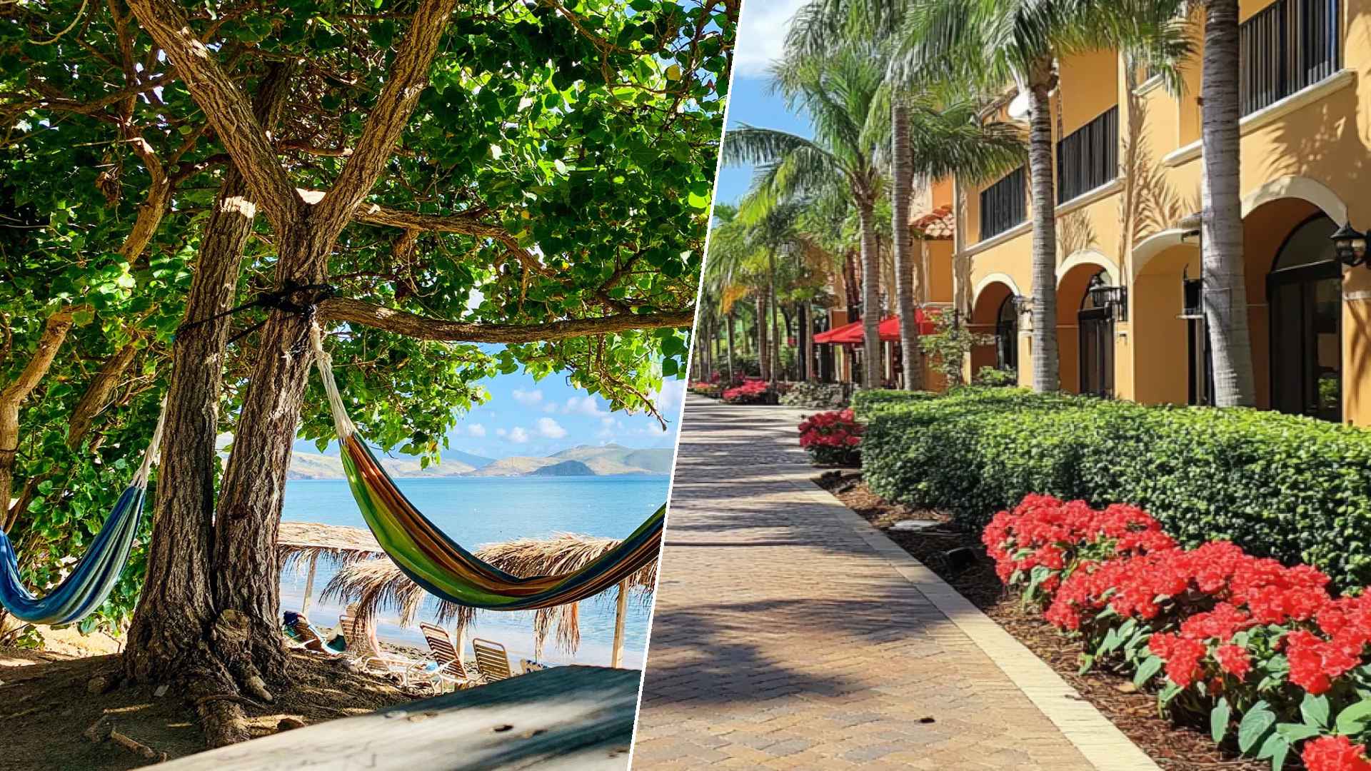 Basseterre to Hialeah