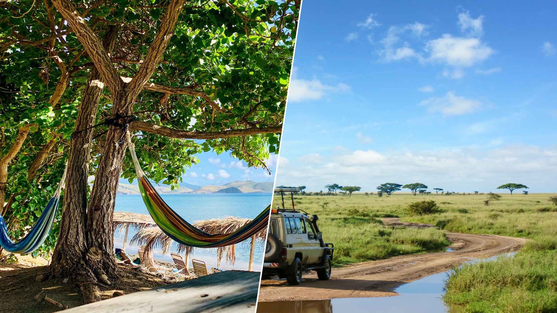 Basseterre to Serengeti