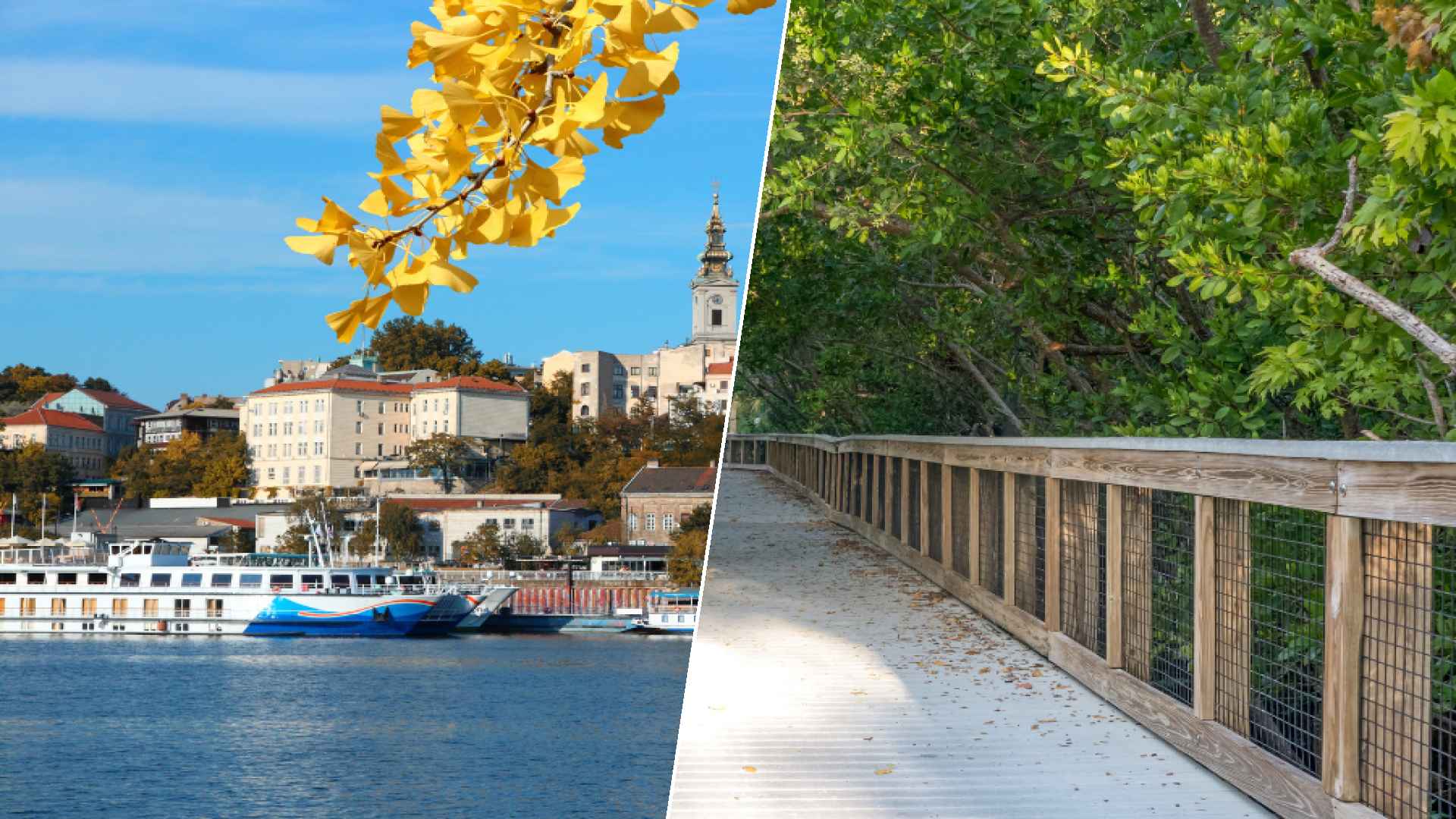 Belgrade to Port St. Lucie