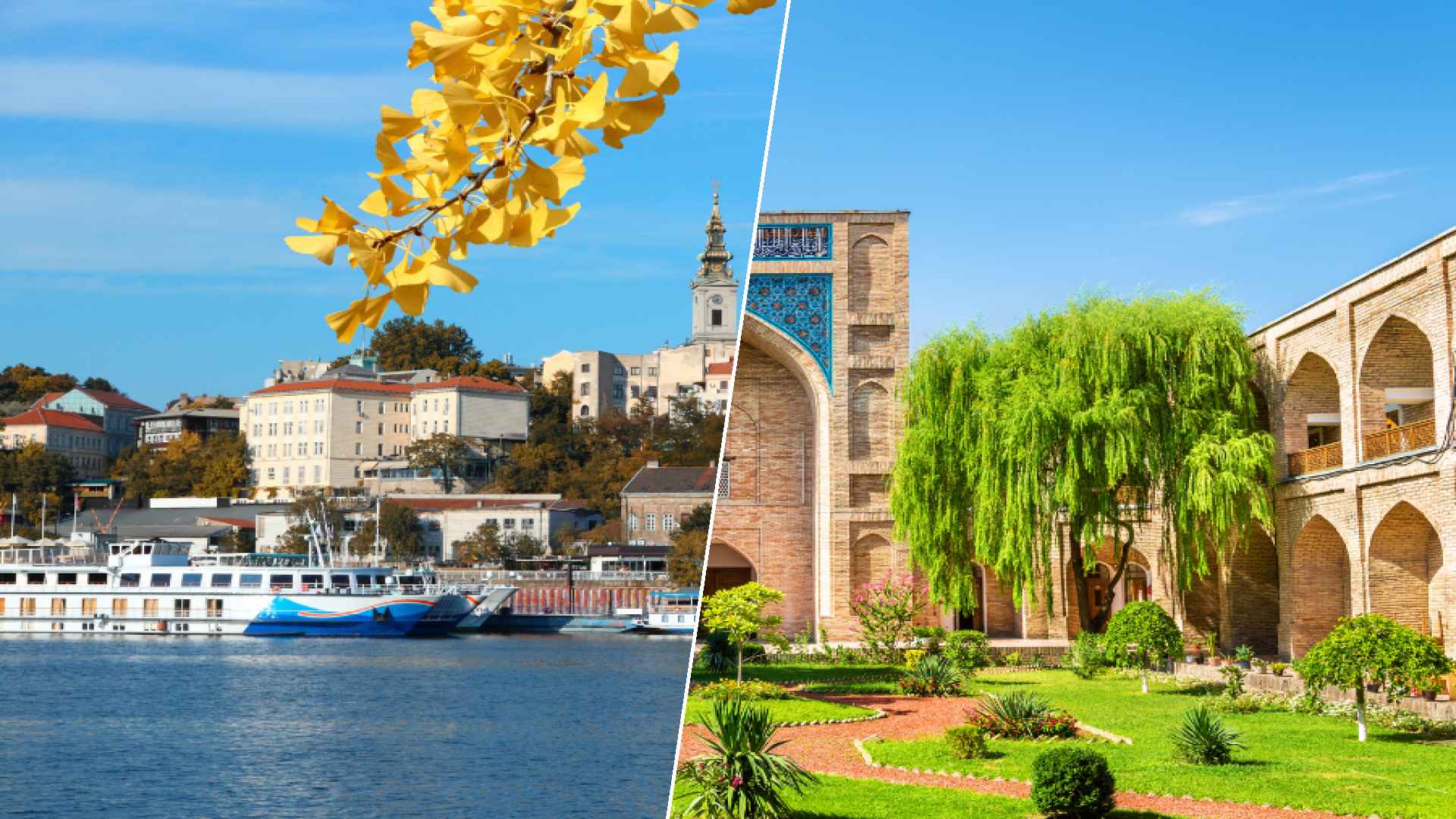 Belgrade to Tashkent