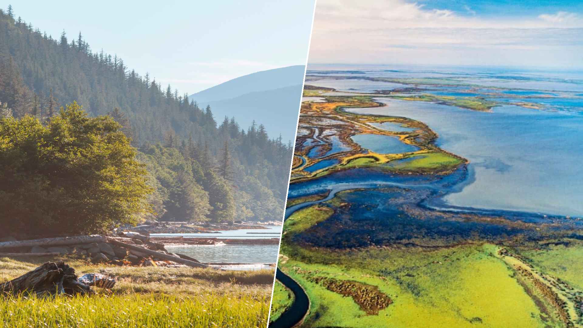 Bella Coola to Wood Buffalo