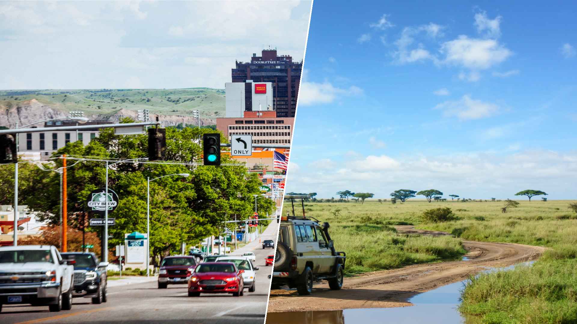 Billings to Serengeti