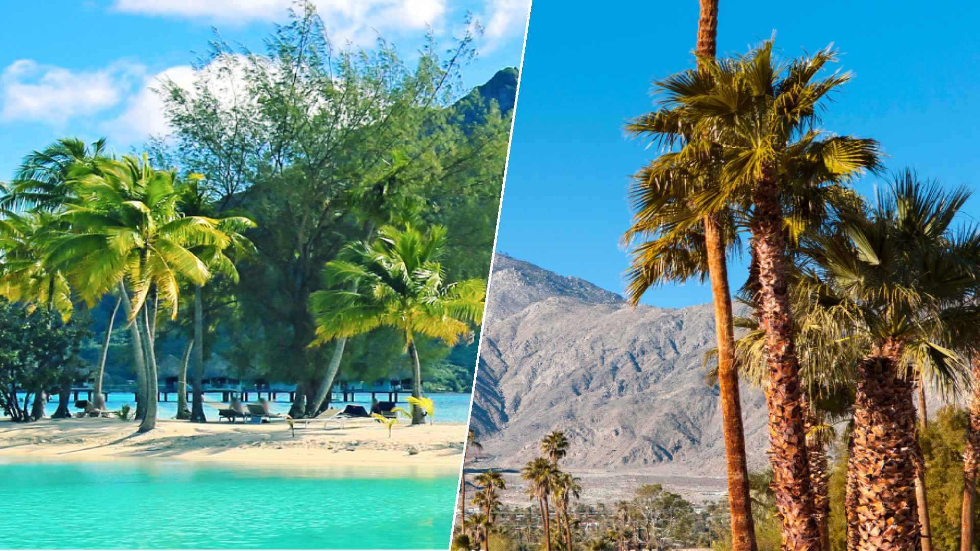Bora Bora to Palm Springs
