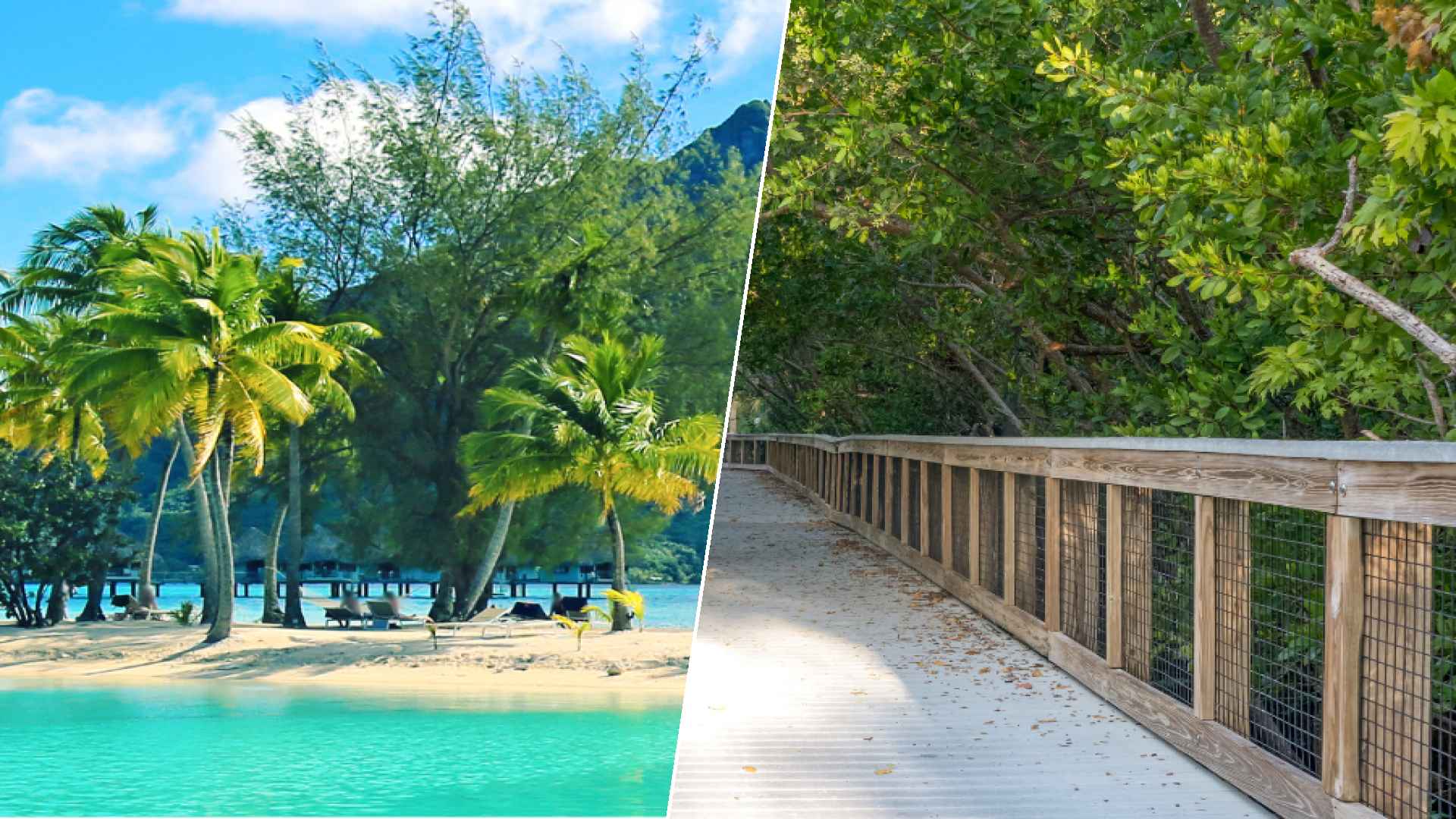 Bora Bora to Port St. Lucie