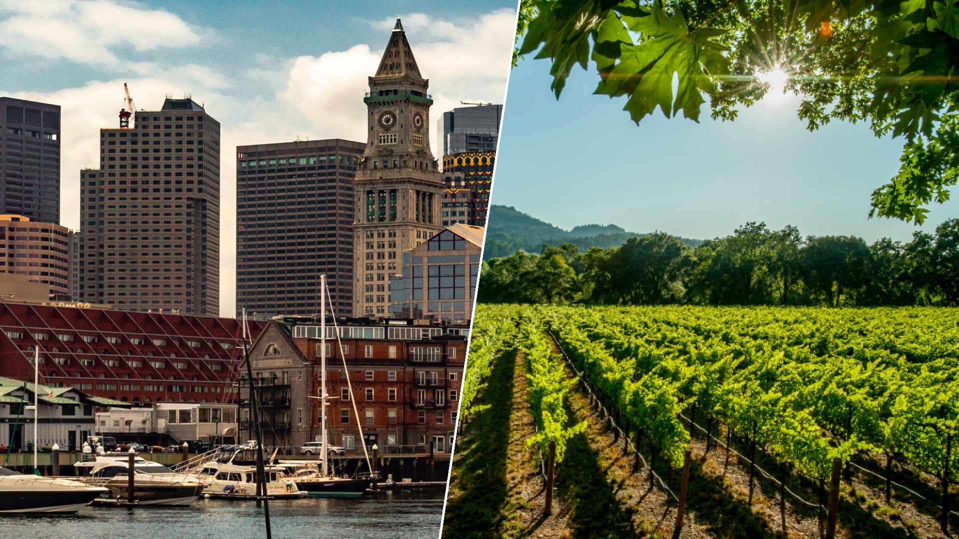 Boston to Napa