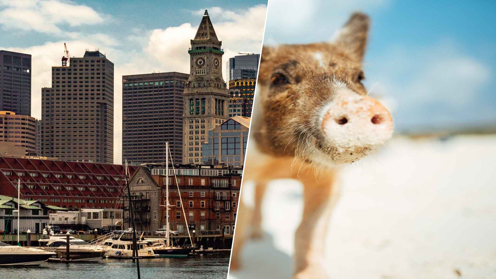 Boston to Staniel Cay