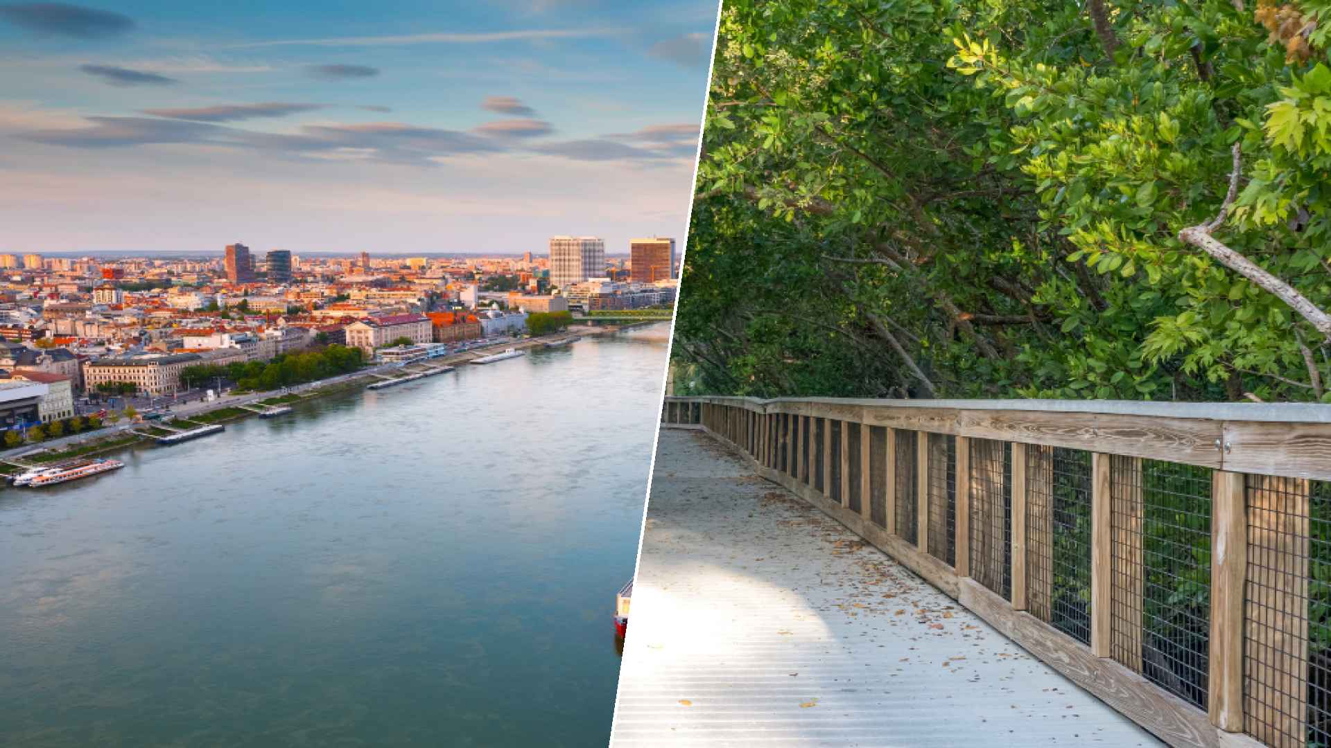 Bratislava to Port St. Lucie