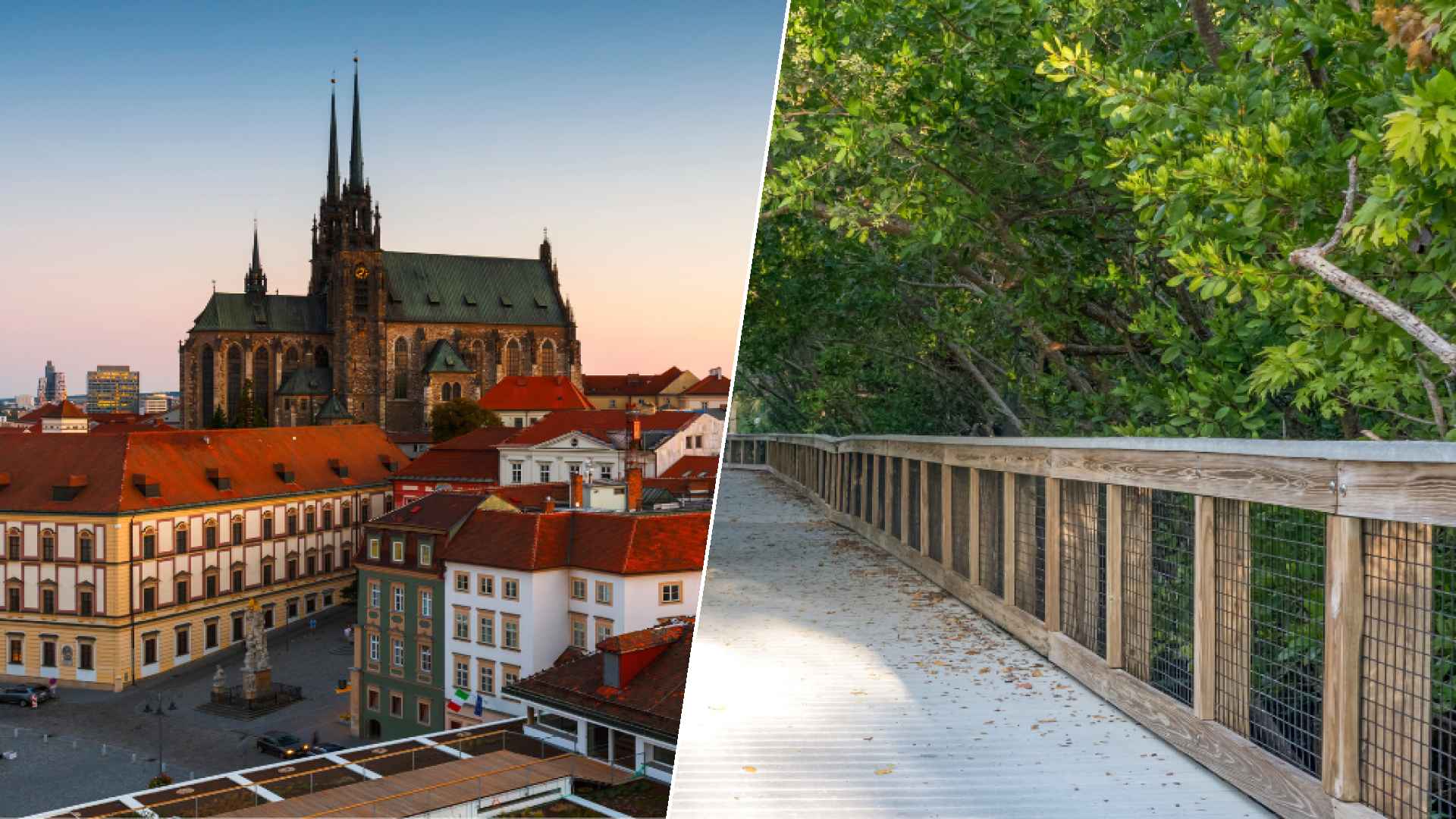 Brno to Port St. Lucie