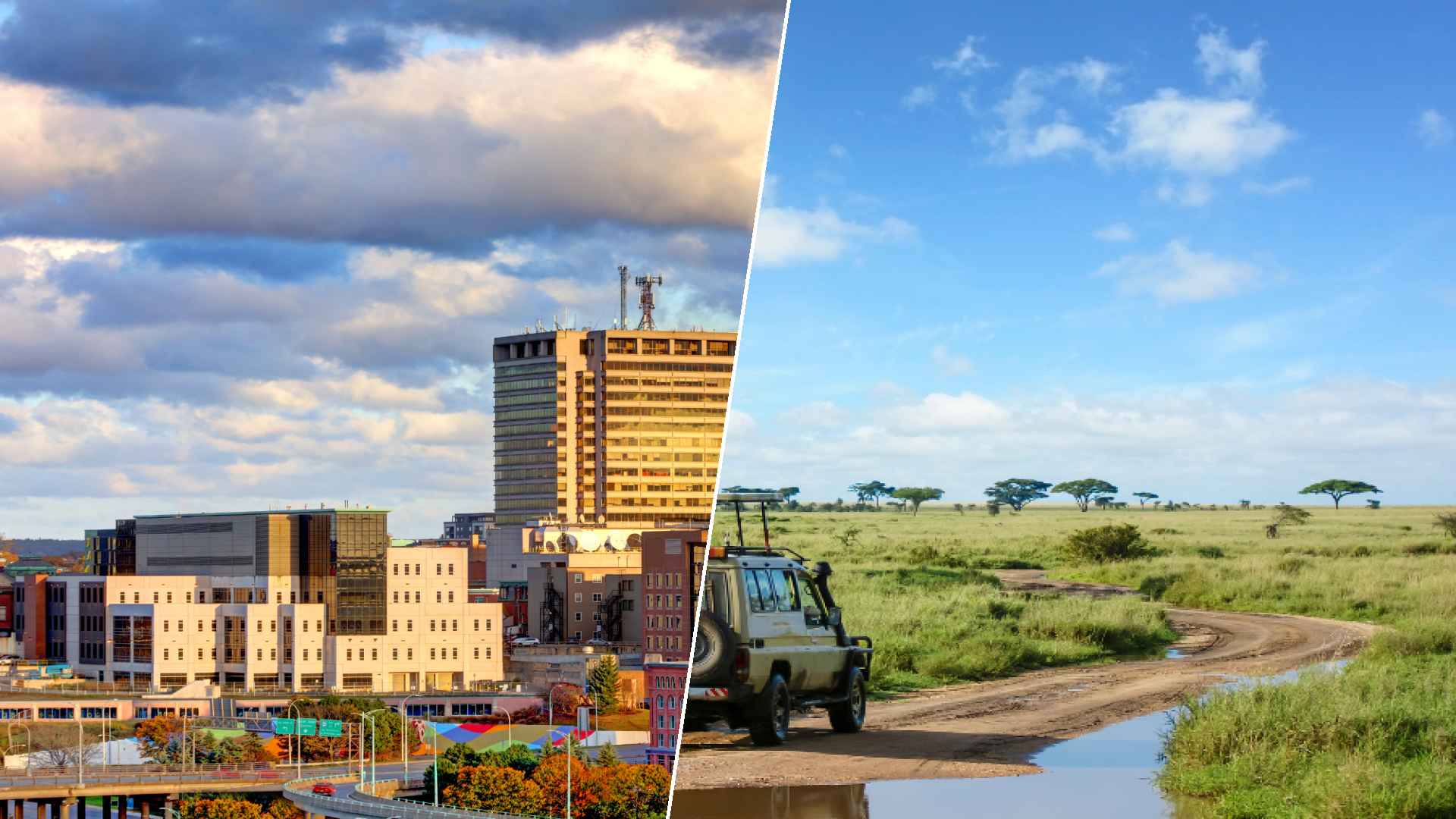 Brunswick to Serengeti