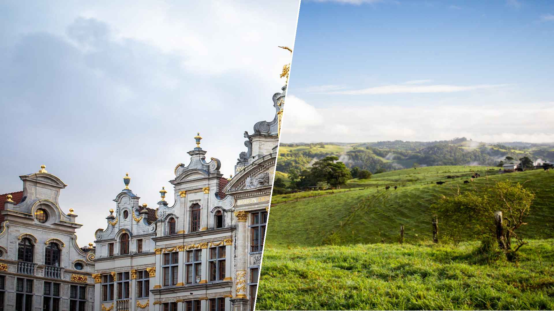 Brussels to Atherton