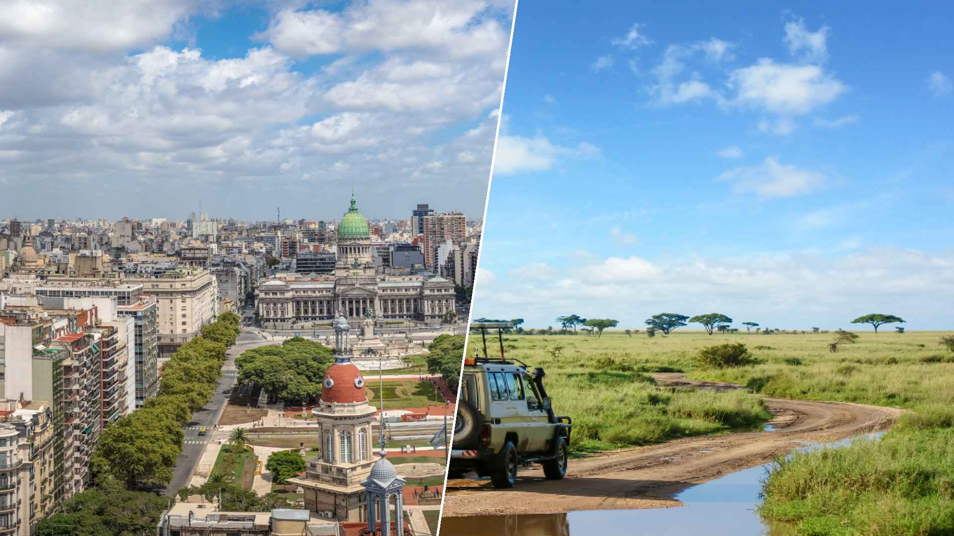 Buenos Aires to Serengeti