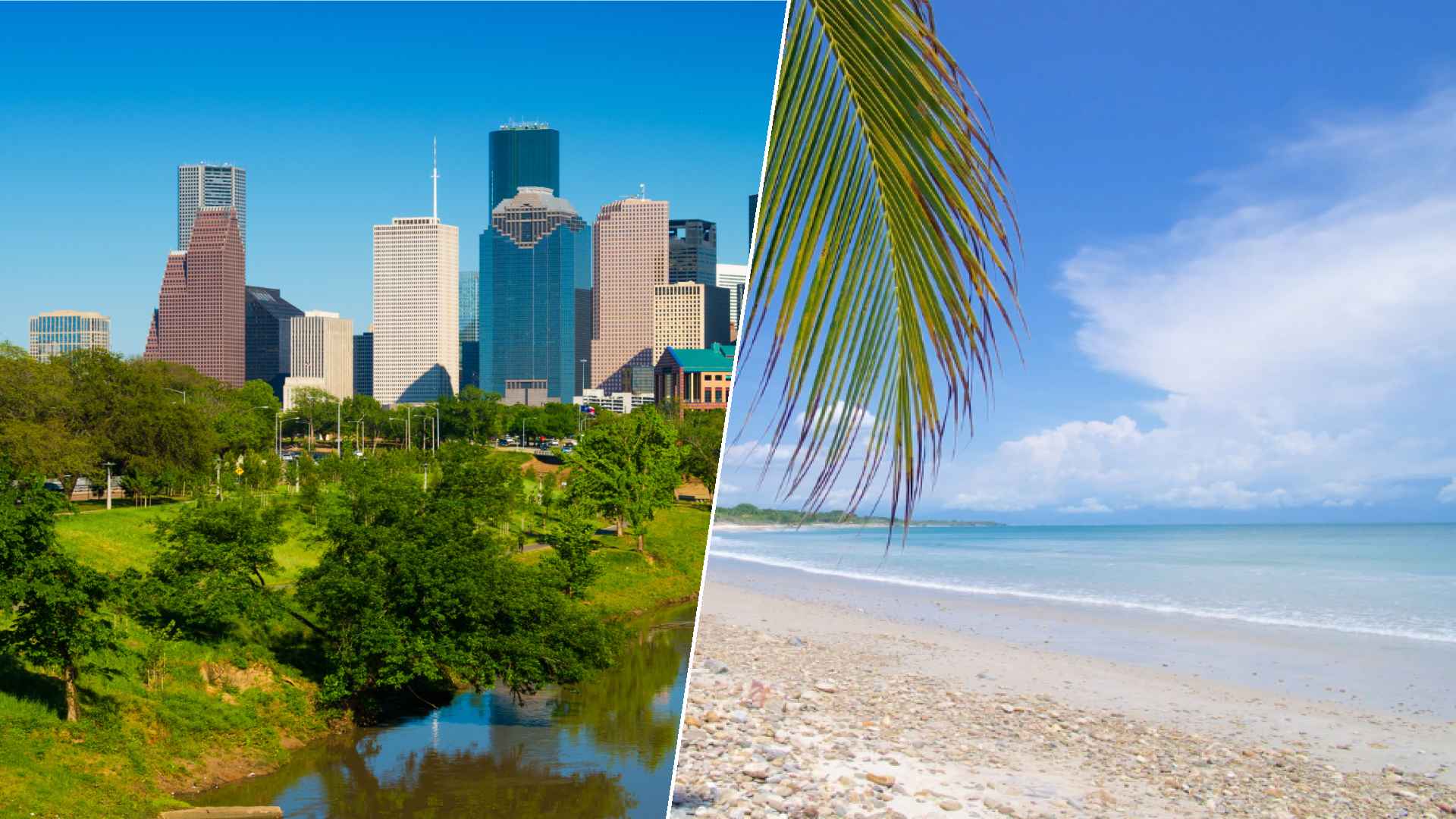 Buffalo to Punta Mita