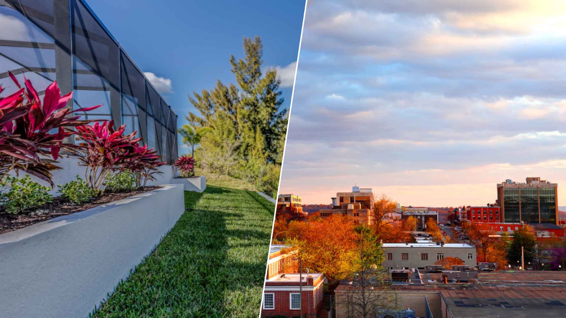 Cape Coral to Fayetteville