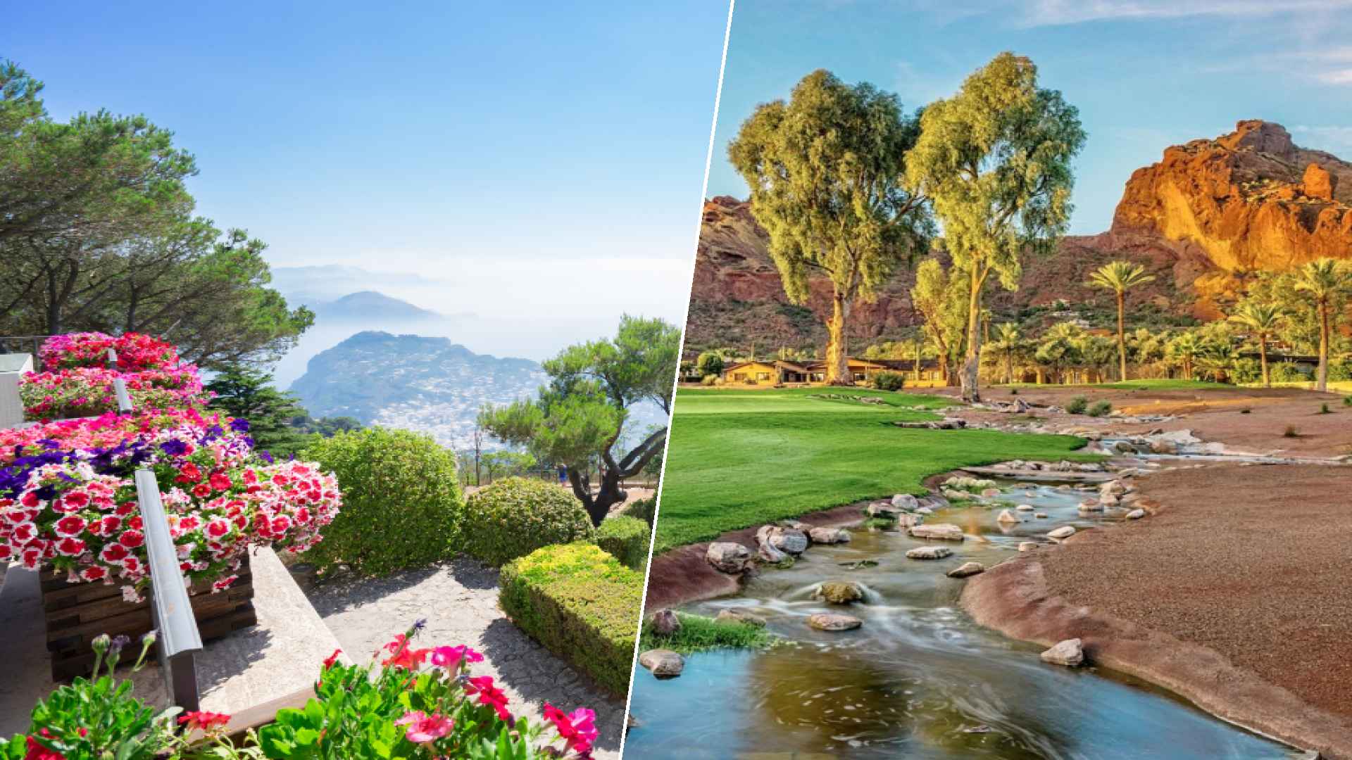 Capri to Paradise Valley