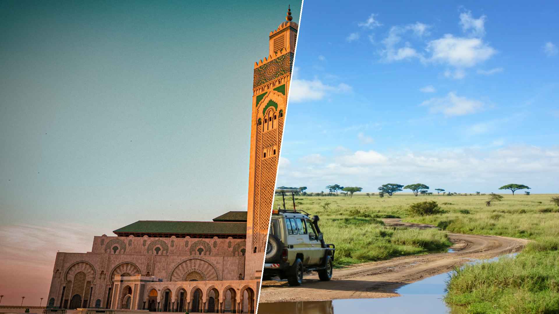 Casablanca to Serengeti