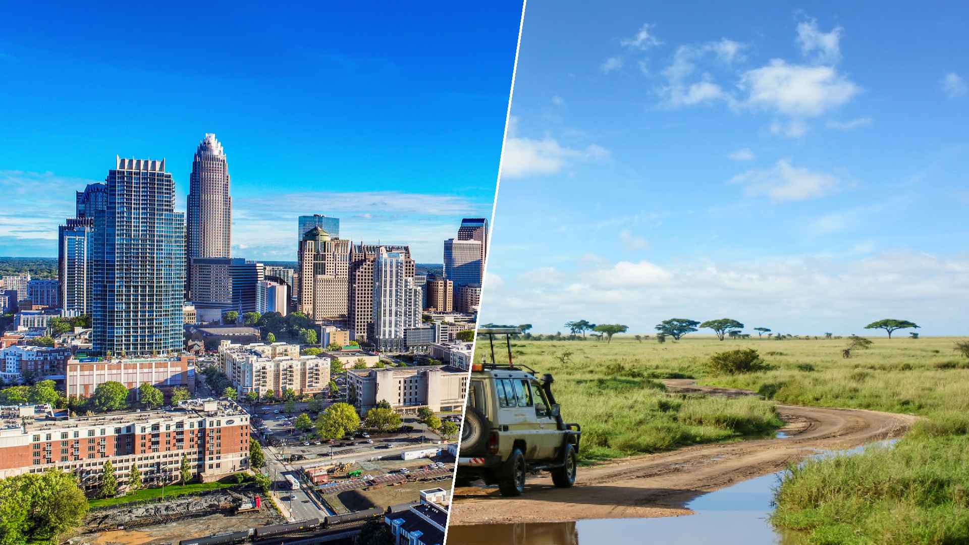 Charlotte to Serengeti