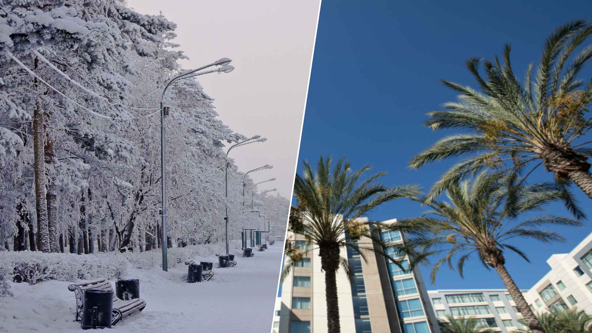 Chelyabinsk to Anaheim