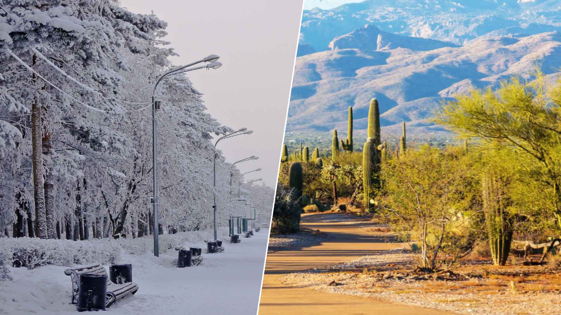 Chelyabinsk to Glendale