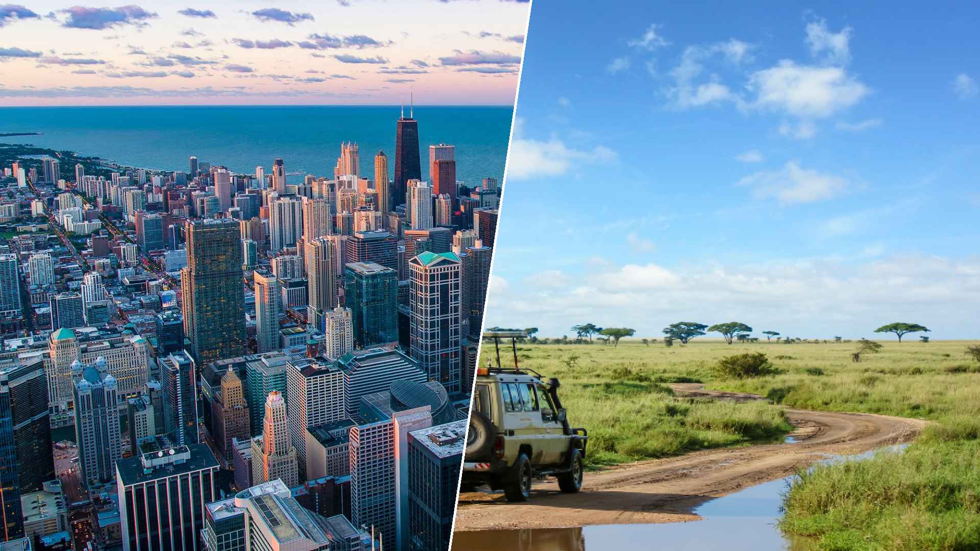Chicago to Serengeti
