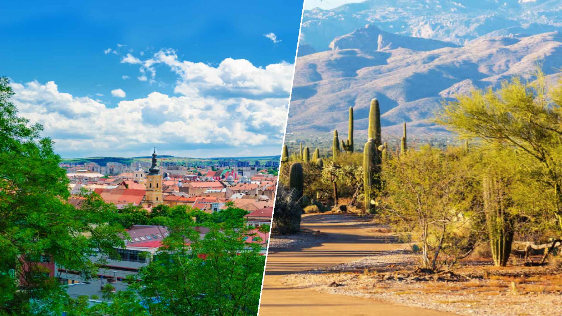 Cluj-Napoca to Glendale