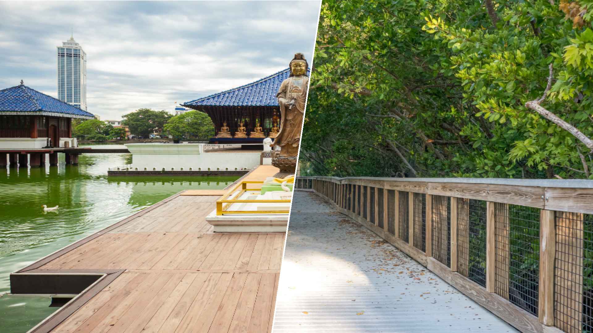 Colombo to Port St. Lucie