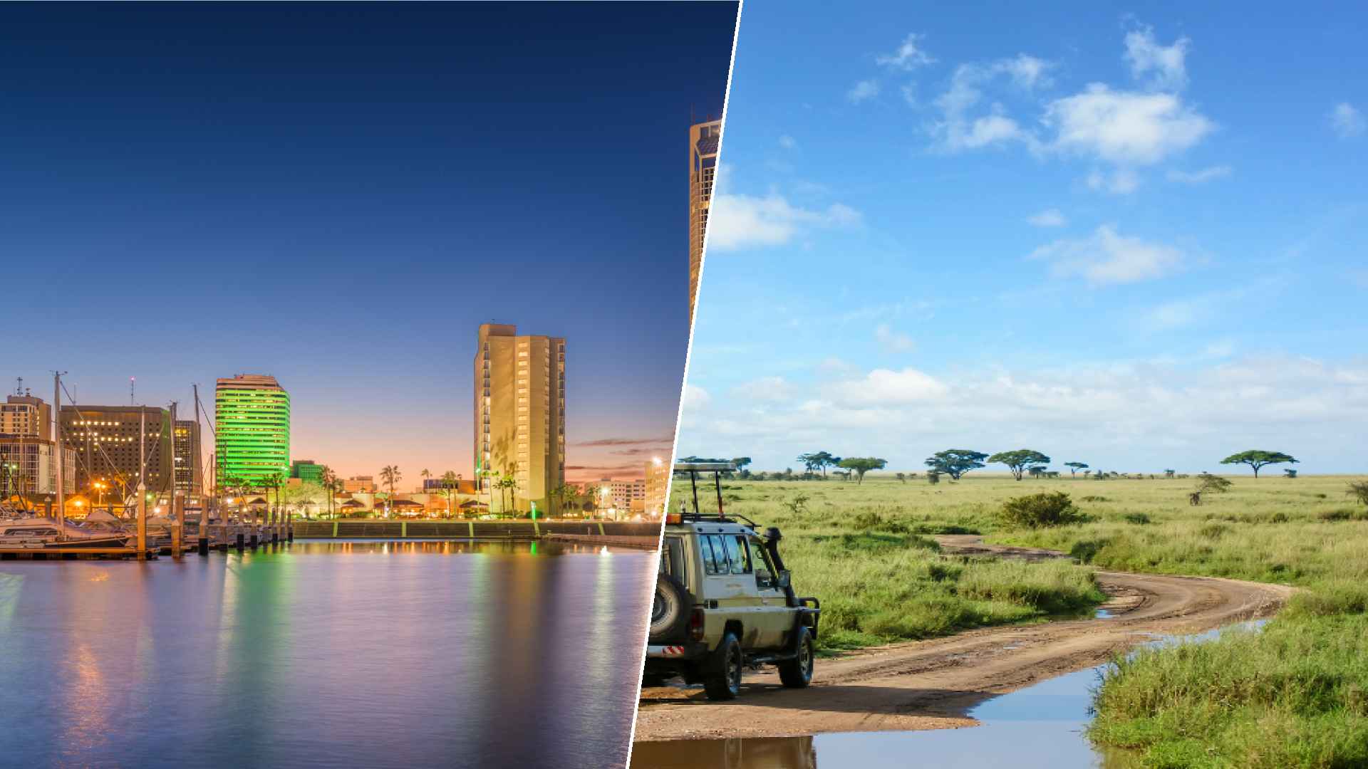 Corpus Christi to Serengeti