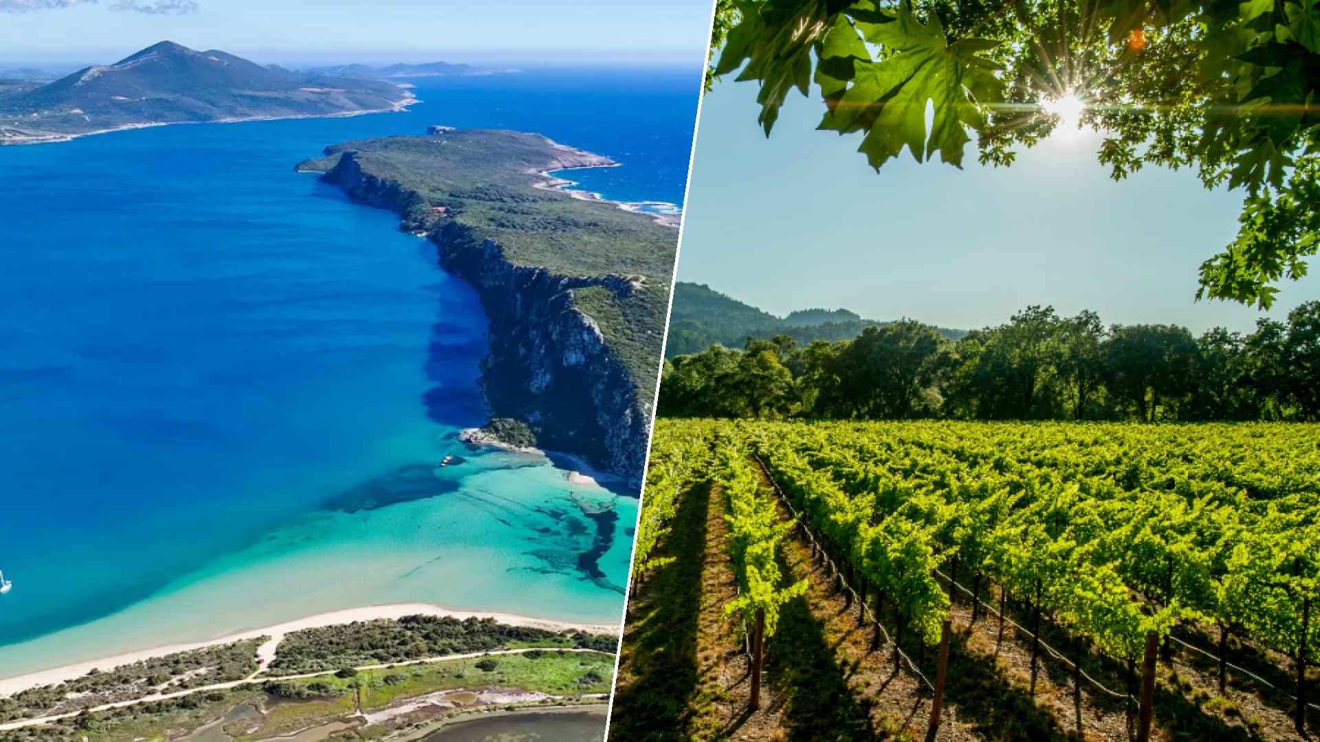 Costa Navarino to Napa