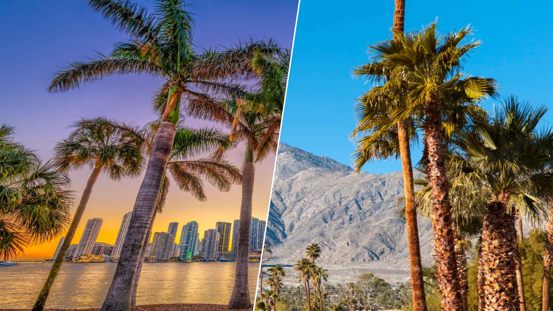 Destin to Palm Springs