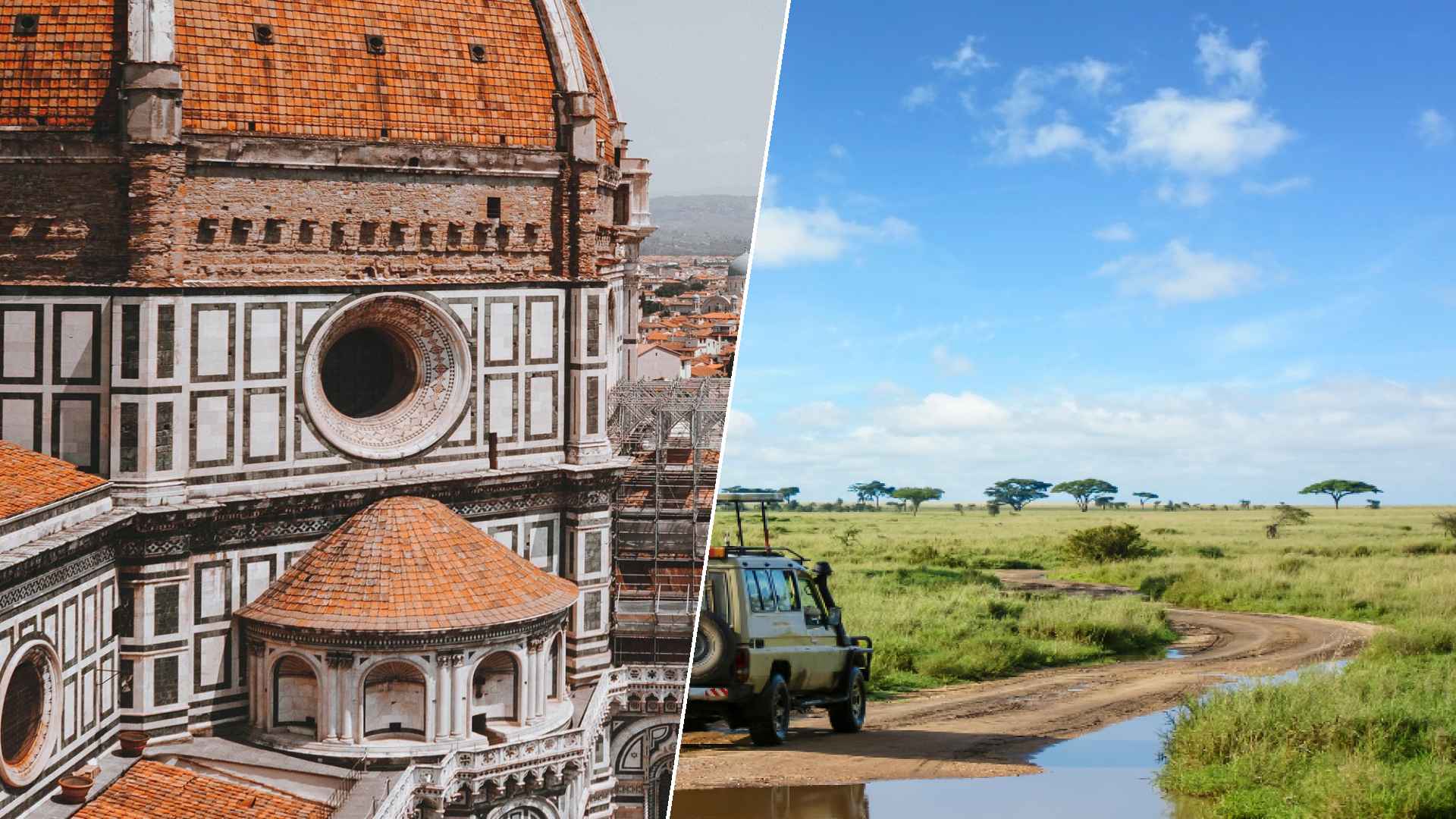 Florence to Serengeti