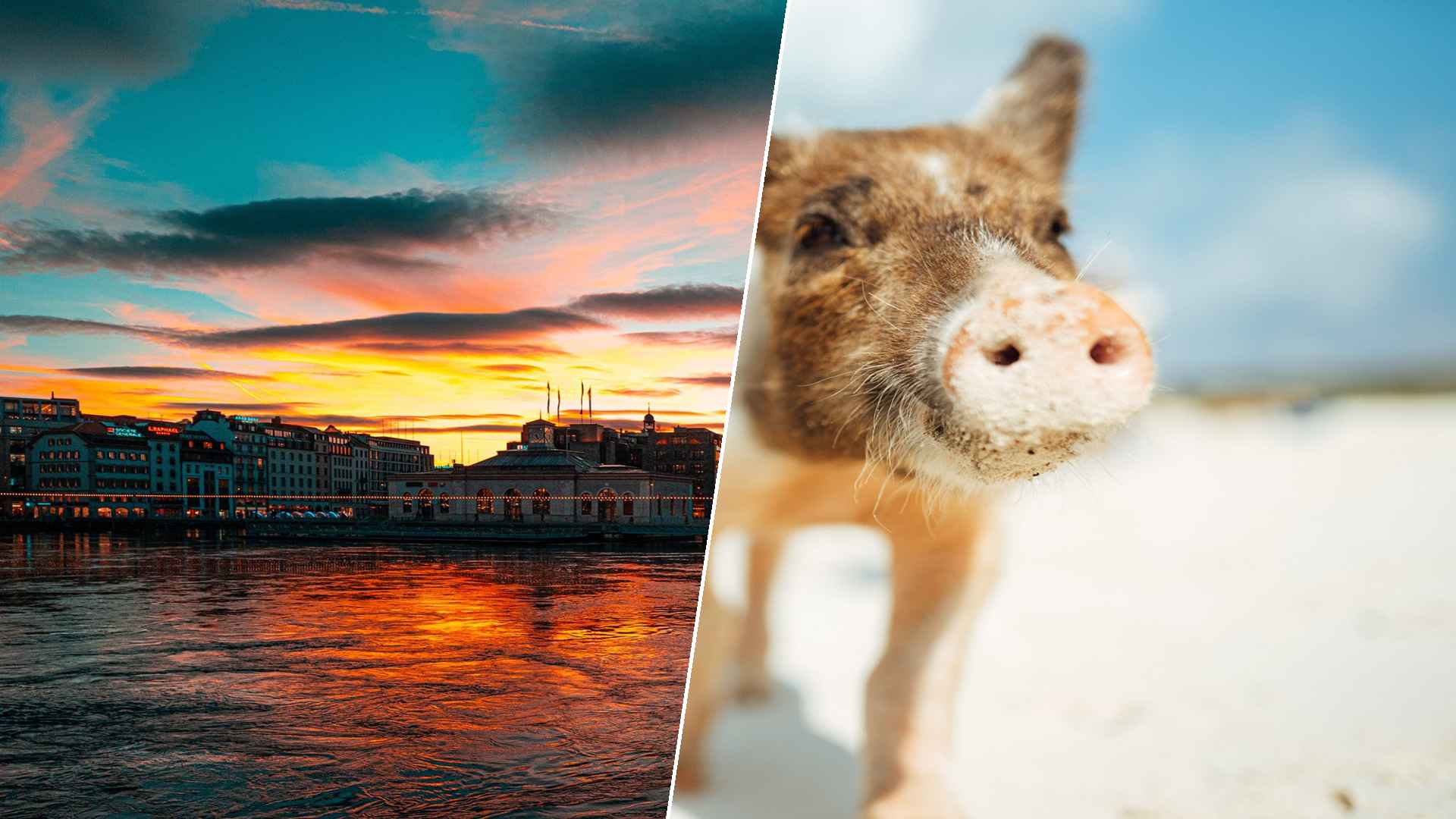 Geneva to Staniel Cay