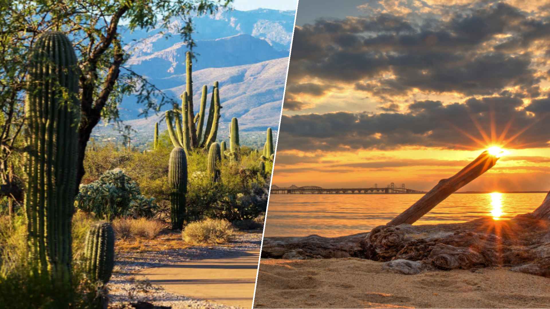 Glendale to Chesapeake