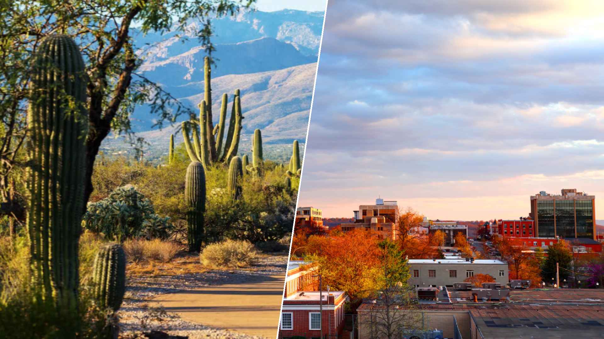 Glendale to Fayetteville