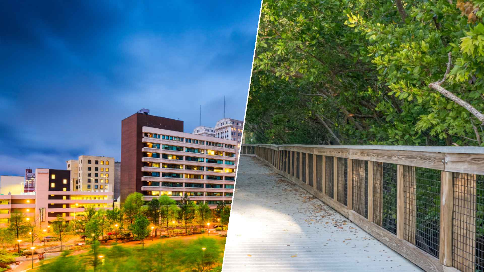 Greensboro to Port St. Lucie