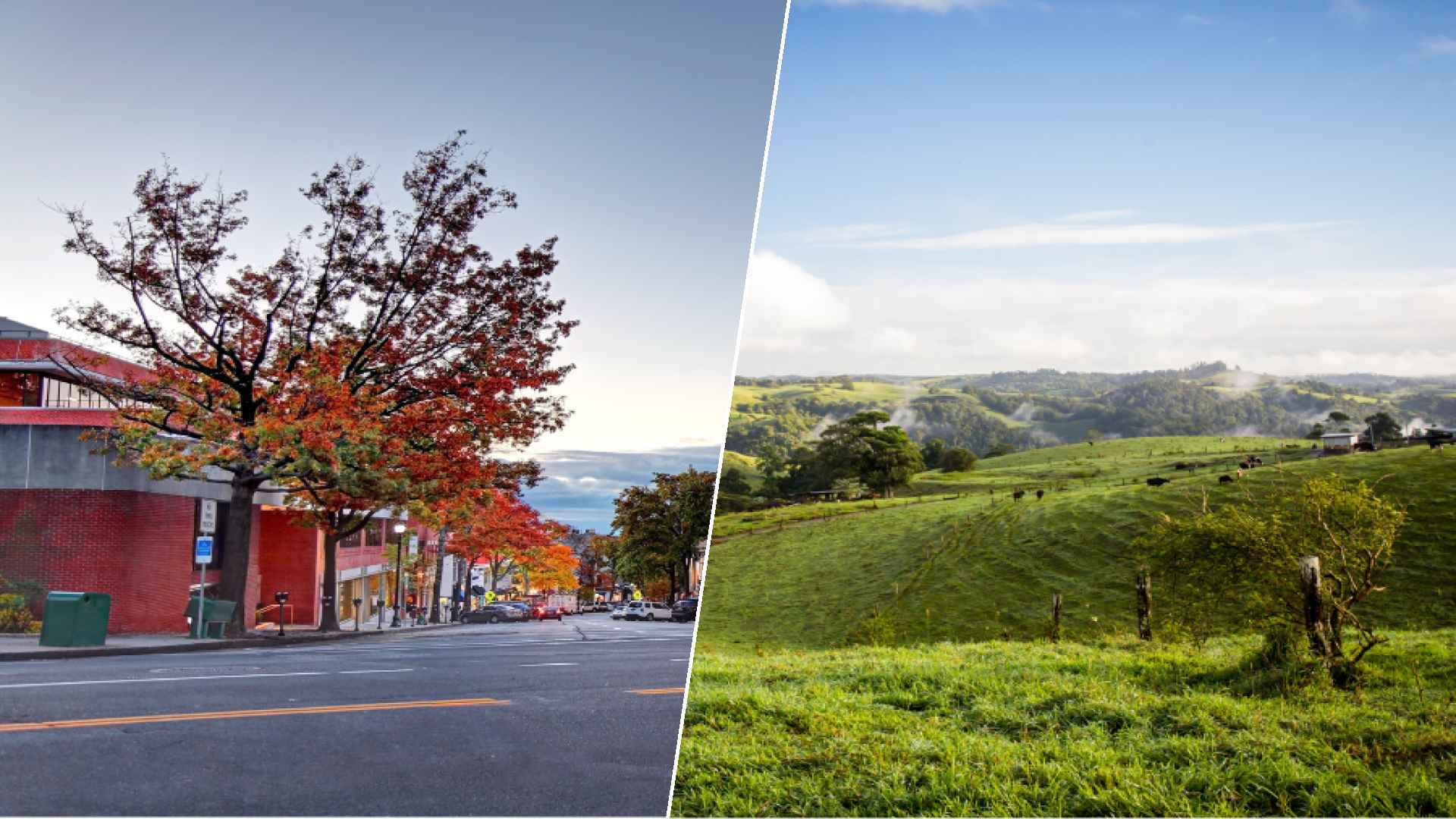 Greenwich to Atherton