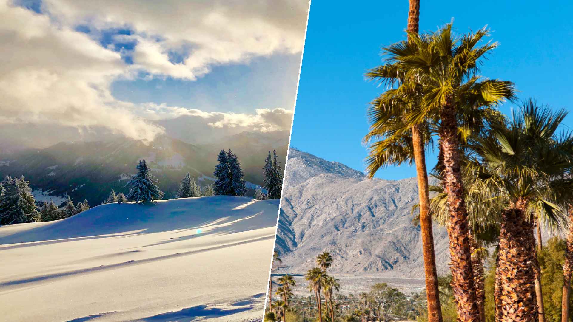 Gstaad to Palm Springs