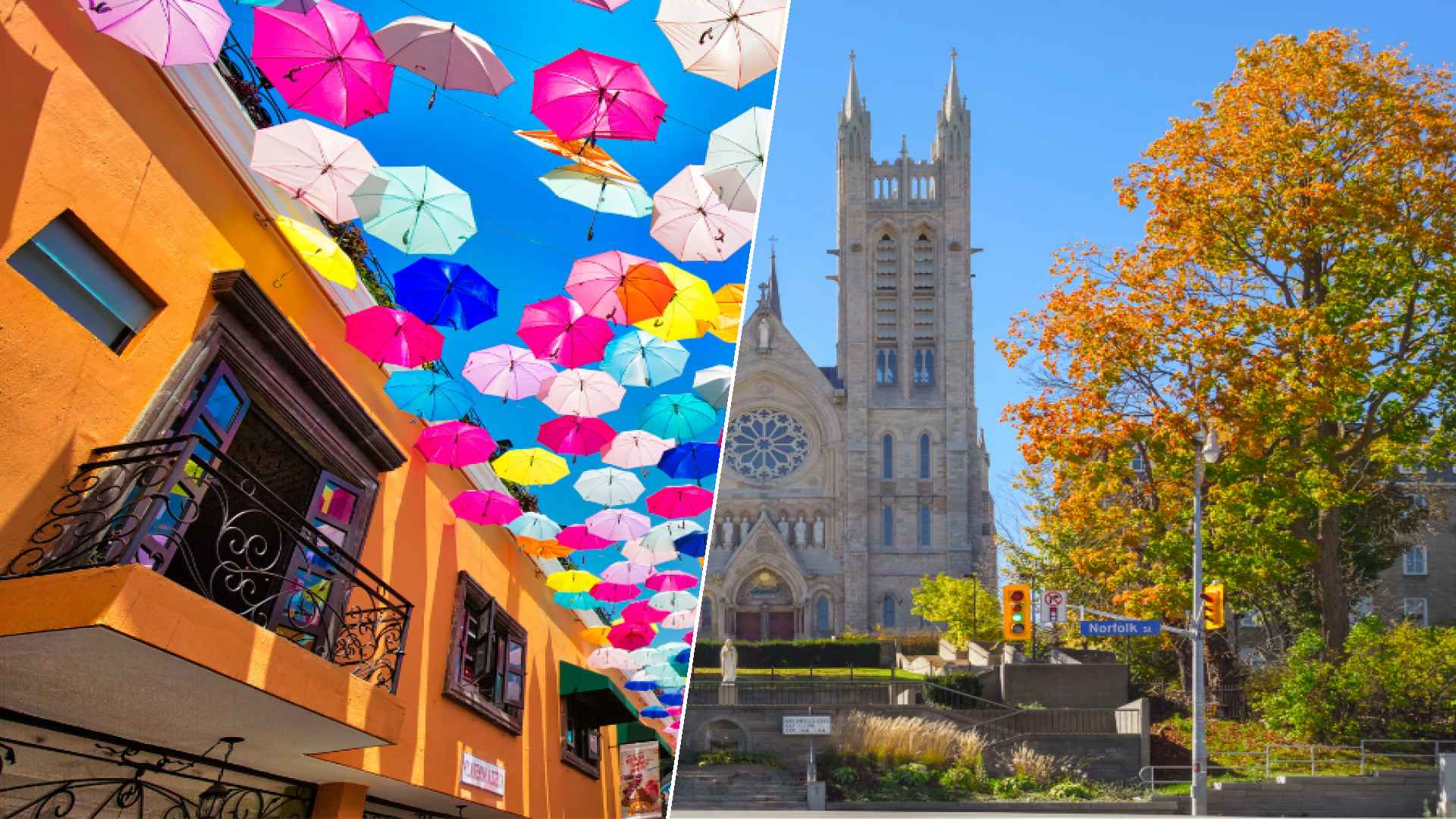 Guadalajara to Guelph