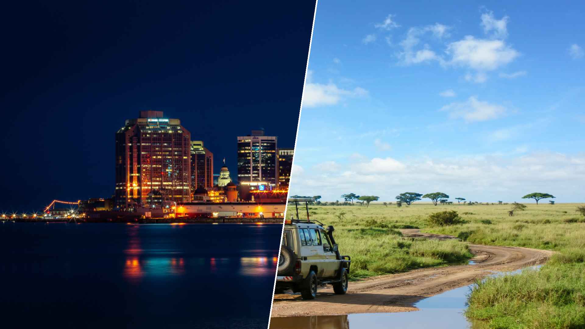 Halifax to Serengeti