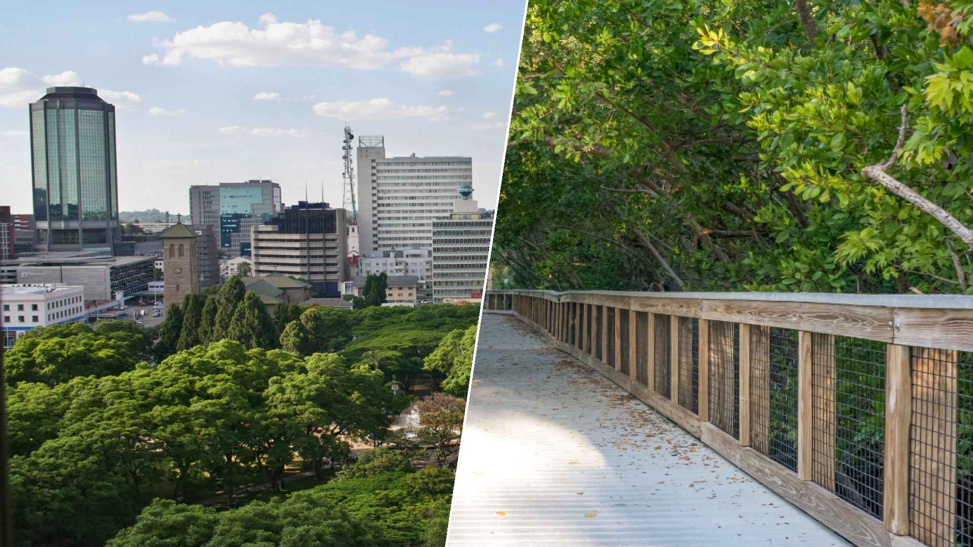 Harare to Port St. Lucie