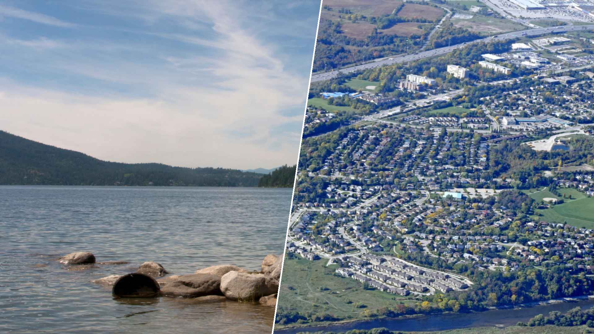 Hayden to Kitchener-Waterloo