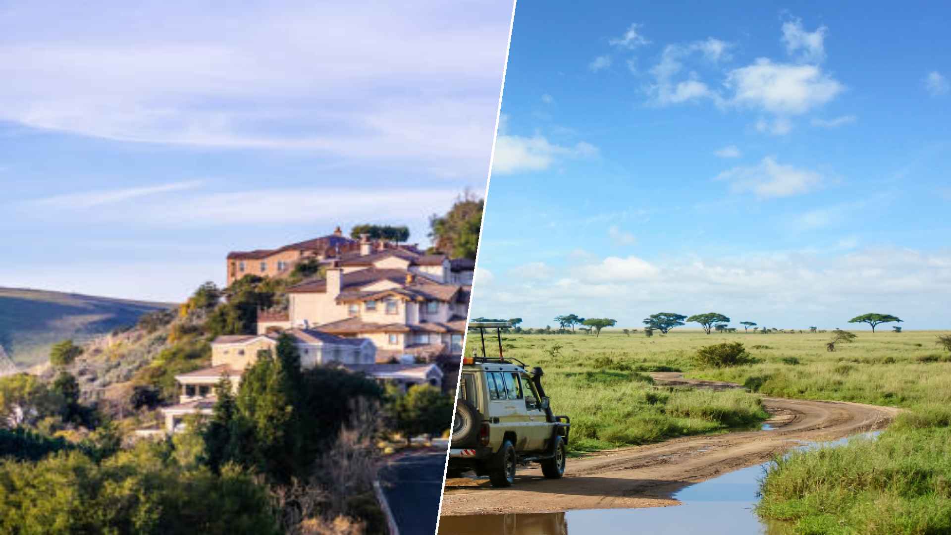 Hayward to Serengeti